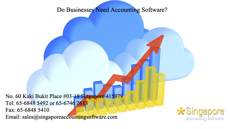 Do Businesses Need Accounting Software?
